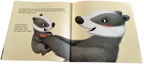 Porsuk
