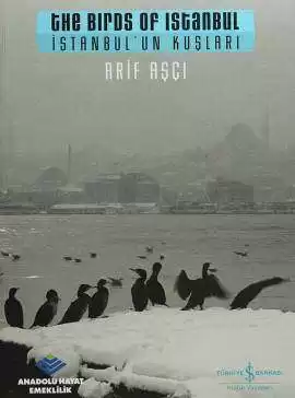İstanbul’un Kuşları / The Birds of Istanbul