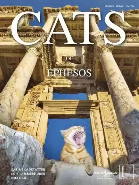 Cats of Ephesos – Sert Kapak